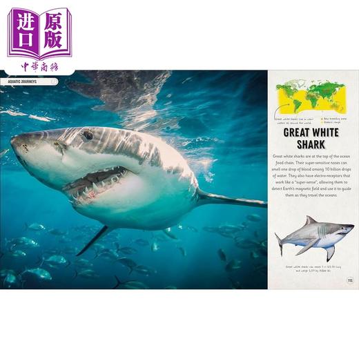 【中商原版】DK动物奇妙之旅 Amazing Animal Journeys 英文原版 儿童科普绘本 动物知识百科图画书 7岁以上 进口自然科学读本 商品图4