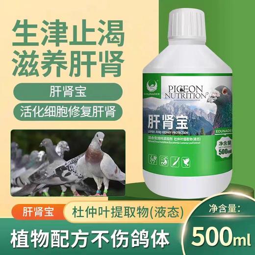 欧耐德鸽药【肝肾宝】赛信幼鸽子鹦鹉用肝精净化血液排毒护肝紫胸黑舍 商品图0