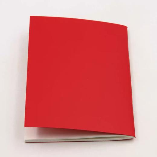 中国共产党章程2022新版64开口袋装 商品图3