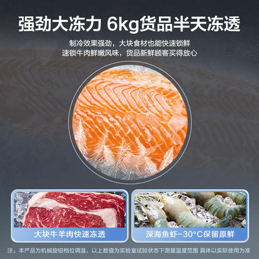 容声（Ronshen） 210升 双温冷柜 大容量冰柜 家用商用 冷藏冷冻  一级能效 独立双温 卧式厨房冰箱BCD-210MSA 商品图3