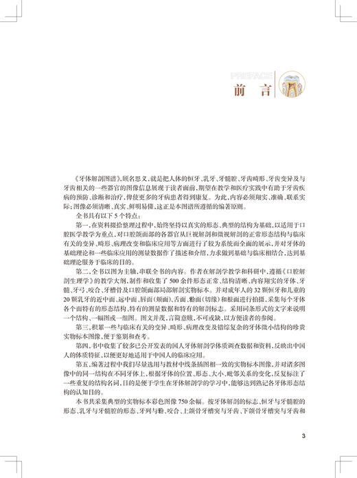 牙体解剖图谱 段坤昌 段维轶 王振宇 主编 成年人恒牙婴幼儿乳牙体实物标本图像牙列咬合口腔科书籍 人民卫生出版社9787117341998 商品图2