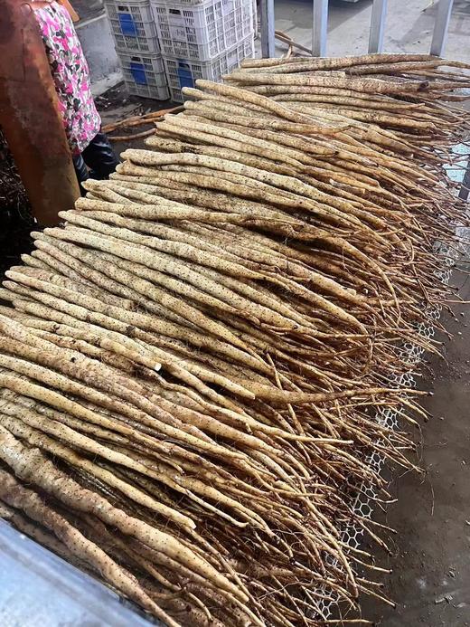 周三秒杀：【金沙山药】一袋3斤左右，肉质紧实，细长饱满，冰糖口感，清香软糯！！！ 商品图2