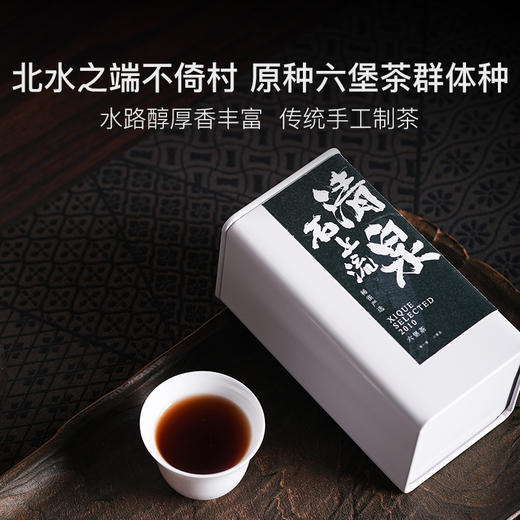 稀雀清泉石上流六堡茶50g 商品图4