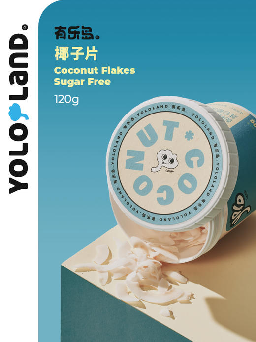 有乐岛 / 椰子片  马来西亚特产无添加蔗糖 120g 商品图0