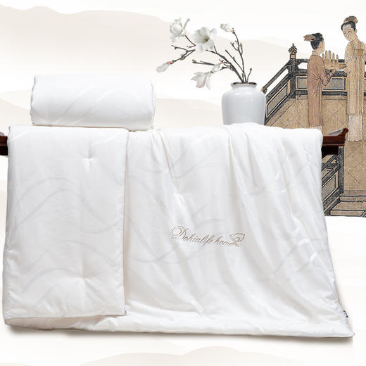 多喜爱 传奇丝毓纯蚕丝子母被（流光）cs 商品图2