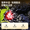 【99元任选3件】【正宗同仁堂品牌】北京同仁堂 青源堂  桑葚干250克 饱满黑亮  甜蜜无涩感  洁净度高SY 商品缩略图3