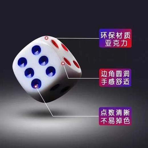 色子 13*13mm 1粒 麻将骰子亚克力筛子家庭筛子筛粒酒吧筛盅道具娱乐 商品图3