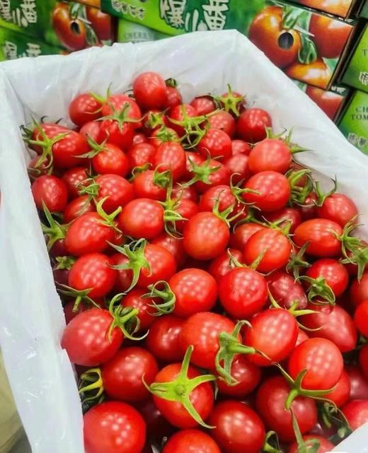 【满150元全疆包邮】爆汁小番茄 （1.5kg） 商品图2