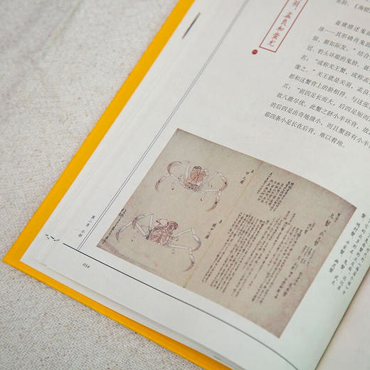 海错图笔记肆 海错图笔记4无穷小亮张辰亮著 科普 海错图笔记系列终结篇 中信出版社图书 新华书店正版书籍 商品图1