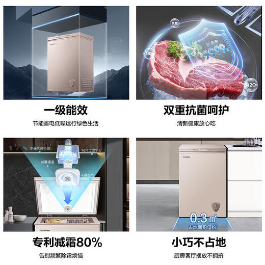 容声（Ronshen） 100升 小型冰柜 家用单温冷柜 一级能效 减霜80%  冷藏冷冻 BD/BC-100ZMSM 商品图1