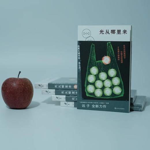 光从哪里来 远子 著 小说 商品图1