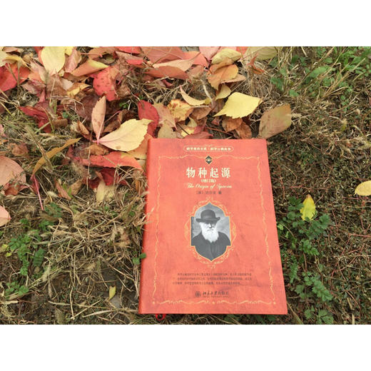 物种起源 达尔文 著 科普读物 商品图1