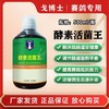 【酵素活菌王】500ml，平衡赛鸽肠胃粪便成形增强免疫力（大西农戈博士） 商品缩略图0