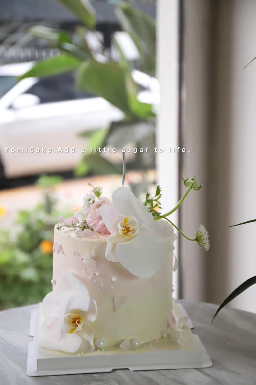 蝴蝶🦋 商品图0