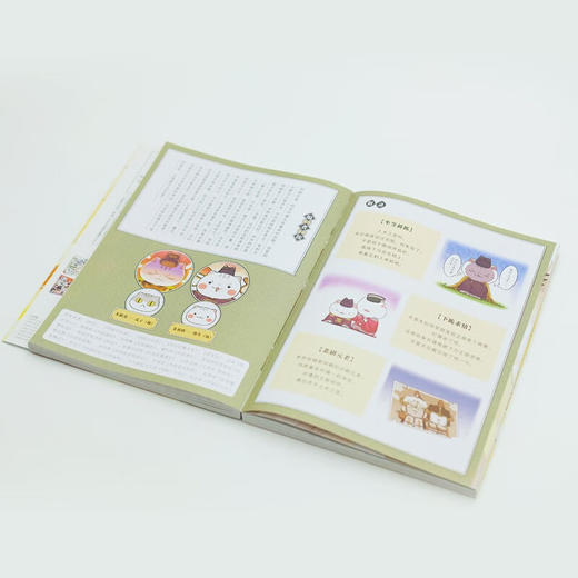 假如如果历史是一群喵13大明皇朝篇 肥志全新力作历史百科趣味漫画书 肥志新作趣味漫画版 儿童小学生中国历史漫画绘本科普书 商品图7