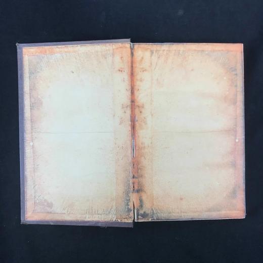 1835年 实用知识传播学会的便士百科全书（卷4） 约百幅版画插图 漆布精装大16开 商品图2