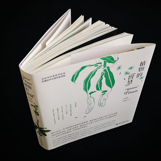 植物的智慧 马炜梁等 著 科普读物 商品图2