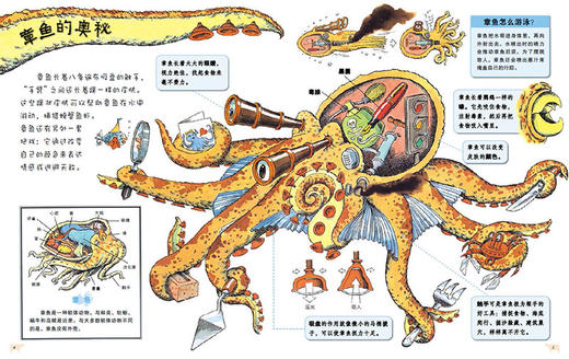 我的第一本万物科学书（全4册） 商品图6