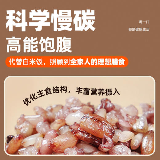 暴肌独角兽七色免煮糙米饭团 100g/袋 商品图3