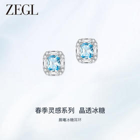 ZEGL设计师冰糖系列925银方糖耳环女2024新款清新耳钉高级感耳饰