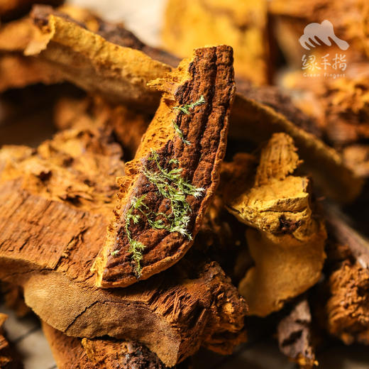 野生西藏桑黄 | 合作生产* Wild Sanghuang| Coproduction 商品图3