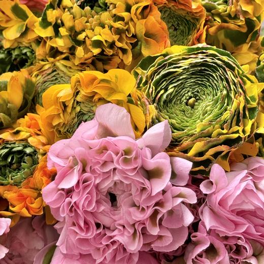 配花 | 锦鲤洋牡丹随机色 商品图0