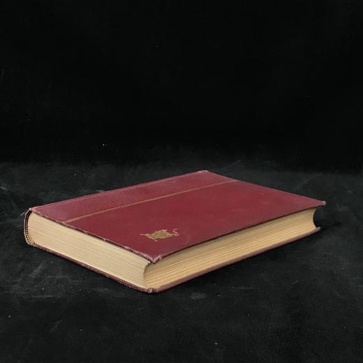 1891年 古斯塔夫·阿道夫与新教的生存斗争 30余幅插图 漆布精装32开 商品图1