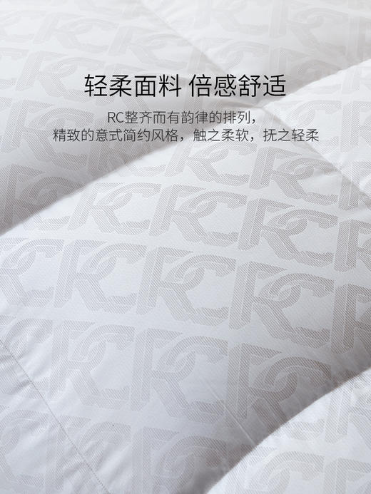 【ROYALCOVER】罗卡芙分区保温匈牙利进口95%鹅绒被 马梅利之歌（春秋被） 商品图2