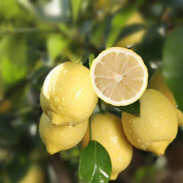 微信图片_201907312244313 - 副本.jpg