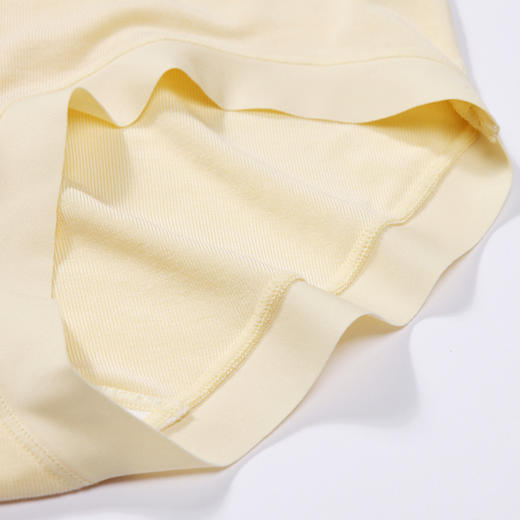 都市丽人健康木代尔系列纤柔绵内裤女人棉女士内裤中腰平角内裤LK45E6 商品图6