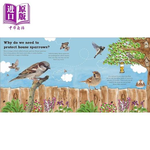 【中商原版】DK绘本 护林鸟罗里 Rory the Garden Bird 英文原版 儿童绘本 动物科普故事 知识百科图画书 精装进口儿童读物 商品图4