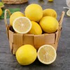 【现摘现发！四川安岳黄柠檬】果香怡人，肉厚多汁，细嫩无渣！尤力克新鲜当季水果非海南青柠檬5斤 商品缩略图3