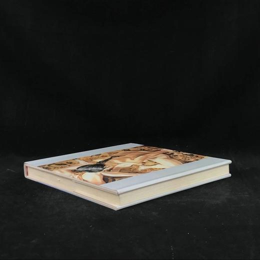 美国现实主义：二十世纪素描与水彩画集 244幅插图（150幅彩色） 精装16开 商品图2