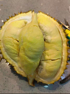 大拇指液氮金枕榴莲🔥一开惊喜连连
个个都有五房肉，采树熟干胞黄肉小籽
急速保鲜品质保证，打开新鲜呈现，美味一点不减分！3-3.5斤/个