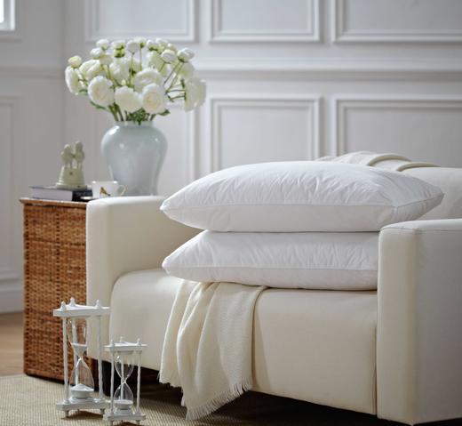 【美舍】安睡舒逸枕 商品图0