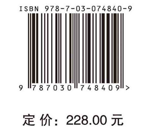 沉浸式交互购物环境下的消费者购买决策行为研究 商品图2
