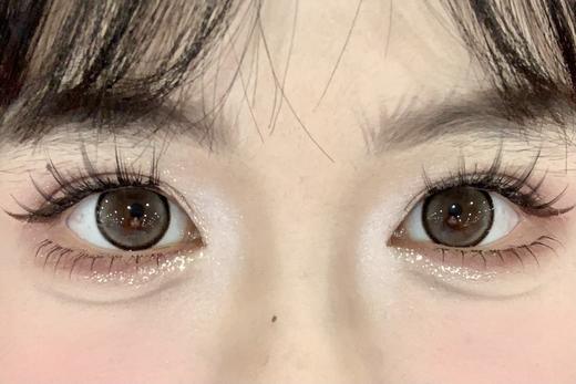 Sondercon日抛-T03灰噗噗 商品图6