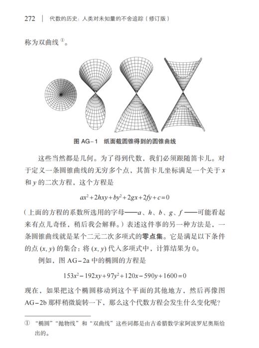 《代数的历史：人类对未知量的不舍追踪（ 修订版）》 商品图8