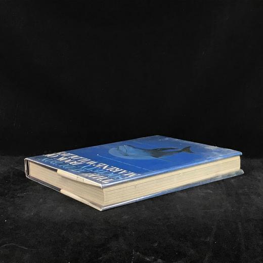 奥杜邦学会海洋野生动物图鉴 123幅彩色摄影图集 精装大16开 商品图2