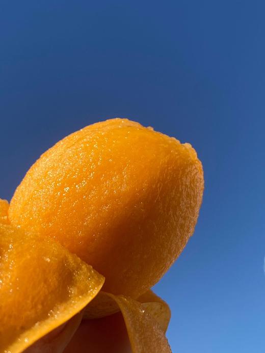 【AN】云南优选 大理宾川五星枇杷 果肉厚实香甜 商品图1