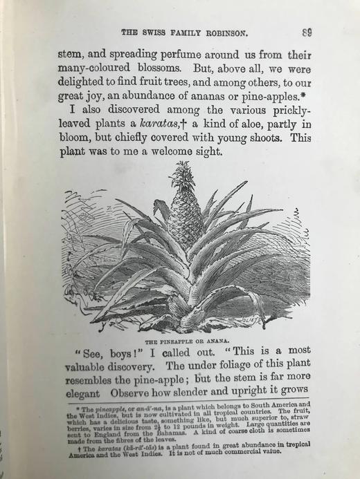 约19世纪后期 约翰·维斯《海角乐园》 约15幅插图 漆布精装32开 商品图5