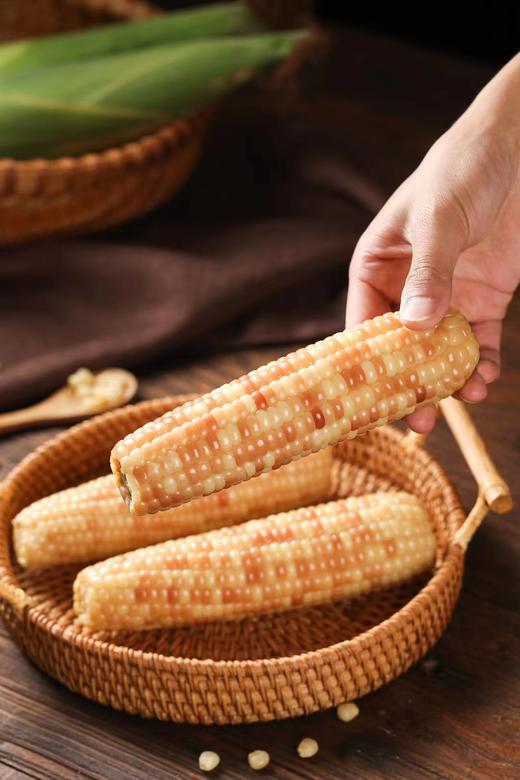 【AN】西双版纳 A级花糯玉米 商品图5