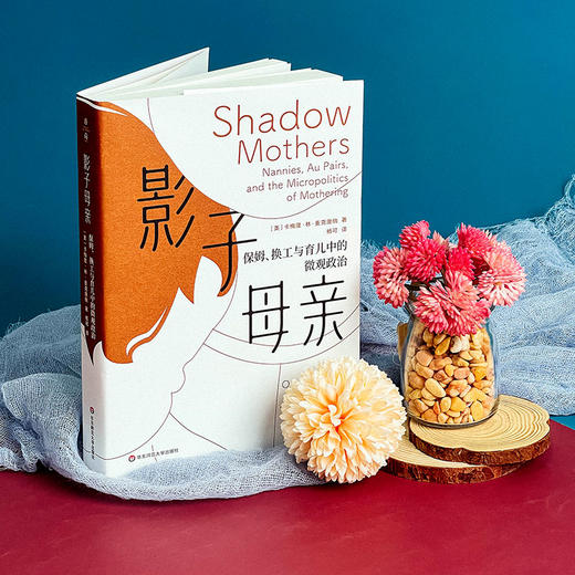影子母亲 保姆 换工与育儿中的微观政治 薄荷实验 商品图3