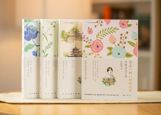 林徽因集4册，还原真实的一代才女 她的人生远比绯间精彩 商品图1