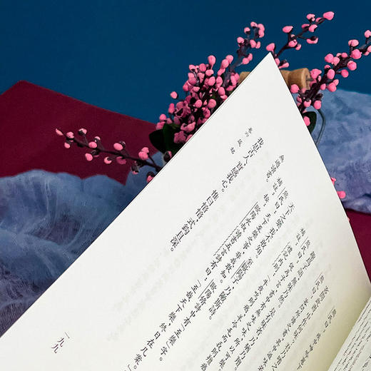 性理群书补注 性理群书句解 朱子学 精装 商品图9