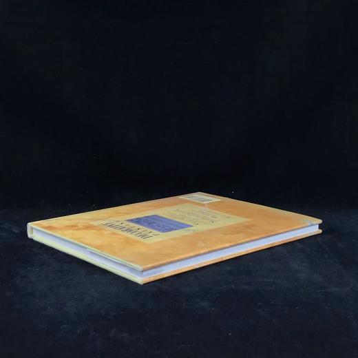 装饰画图集 百余幅插图 精装16开 商品图2