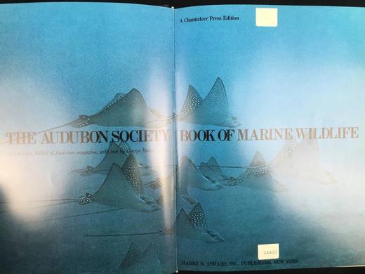 奥杜邦学会海洋野生动物图鉴 123幅彩色摄影图集 精装大16开 商品图3