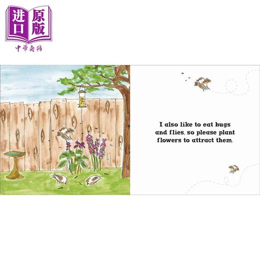 【中商原版】DK绘本 护林鸟罗里 Rory the Garden Bird 英文原版 儿童绘本 动物科普故事 知识百科图画书 精装进口儿童读物 商品图2