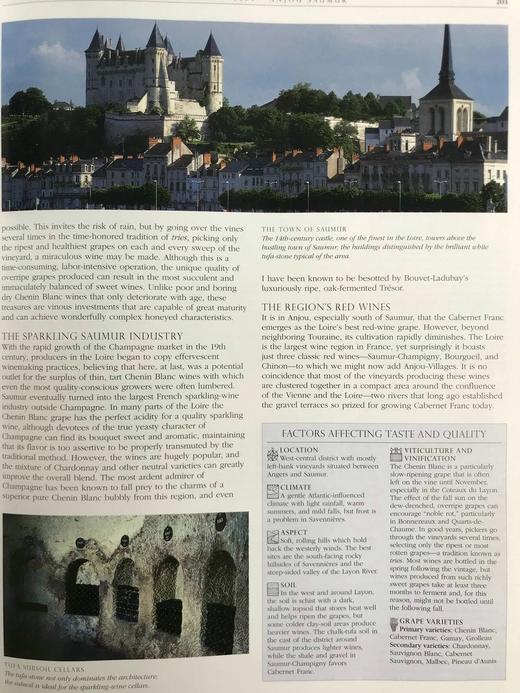 苏富比红酒百科全书 数百幅彩色插图 精装16开 商品图6