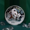 2024年熊猫精制银币 大规格 光变鳞彩熊猫币 商品缩略图1